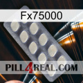 Fx75000 08
